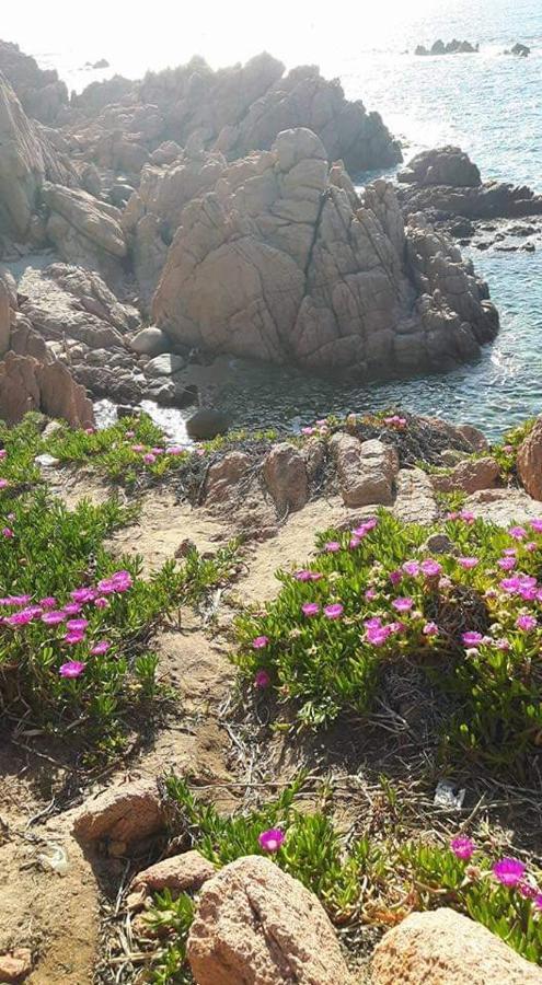 Casa Vacanze Villa Sandrina コスタ・パラディーゾ エクステリア 写真