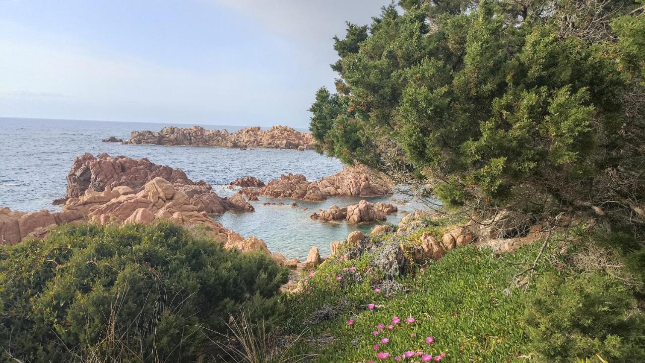 Casa Vacanze Villa Sandrina コスタ・パラディーゾ エクステリア 写真
